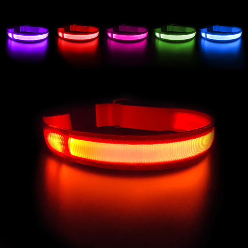 Dog Collar Luminous Pet Supplies Dog Collar Waterpoof Safety Collars Dropship