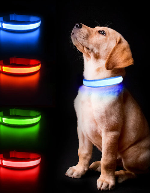 Load image into Gallery viewer, Dog Collar Luminous Pet Supplies Dog Collar Waterpoof Safety Collars Dropship
