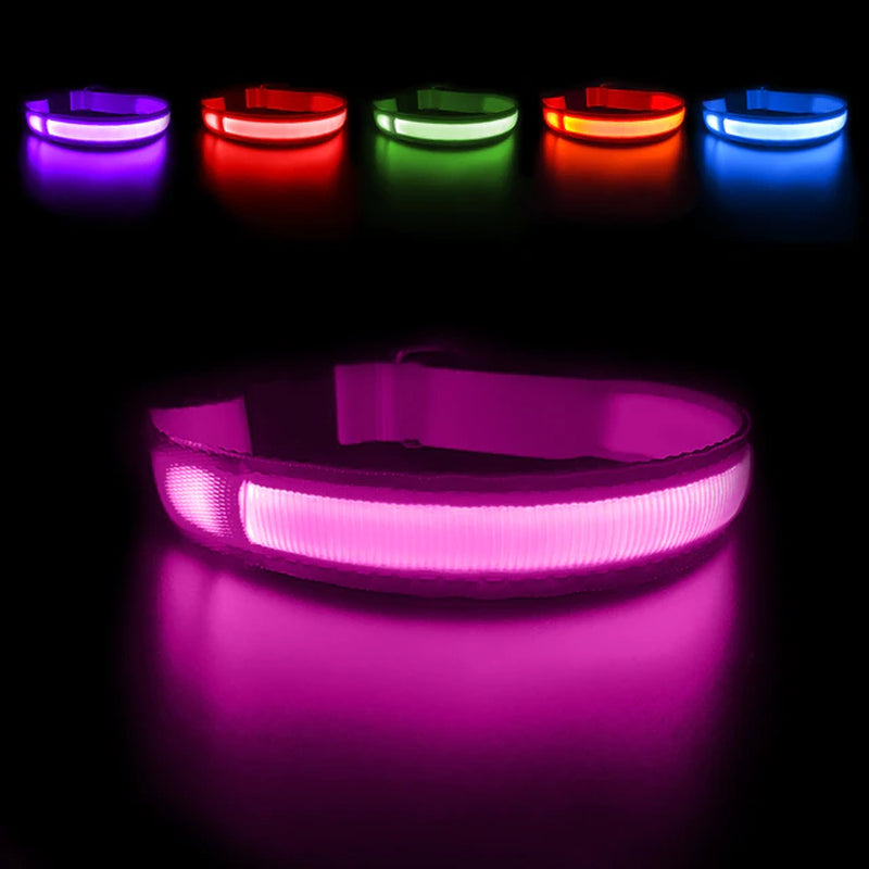 Dog Collar Luminous Pet Supplies Dog Collar Waterpoof Safety Collars Dropship