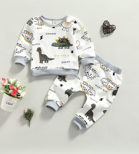 0-24M Dinosaur Newborn Infant Baby Boy Clothes Set Long Sleeve Sweatshirts Tops Pants Outfits