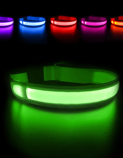 Load image into Gallery viewer, Dog Collar Luminous Pet Supplies Dog Collar Waterpoof Safety Collars Dropship
