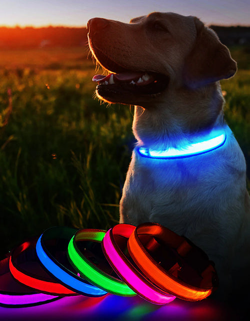 Load image into Gallery viewer, Dog Collar Luminous Pet Supplies Dog Collar Waterpoof Safety Collars Dropship
